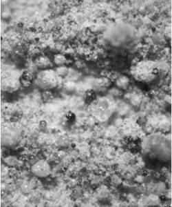 Figure 16b: Microscopic picture of Material bled from Geotex 104F showing some flyash beads along with the fine aggregates (mostly cement) Figure 16b: Microscopic picture of Material bled from Geotex 104F showing some flyash beads along with the fine aggregates (mostly cement)
